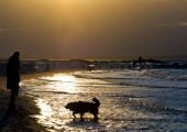 Kiel - Mädchen mit Hund am Strand