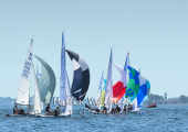 Flying Dutchman World Championship 2026 - Downwinds unter Spinnaker