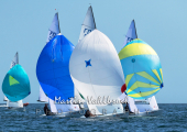 Flying Dutchman World Championship 2026 - Downwinds unter Spinnaker