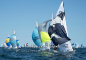 Flying Dutchman World Championship 2026 - Downwinds unter Spinnaker kurz vor dem Zeileinlauf. Mittig Rolf ALBERT und Axel PRIEGANN, GER 213, Segelsportverein Einheit Plauen e. V.
