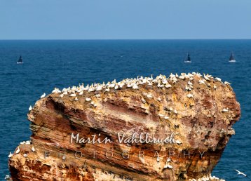 W7 Sebamed-Cup  Helgoländer Acht - um die lange Anna 1