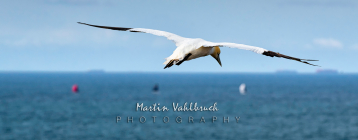 W7 Sebamed-Cup  Helgoländer Acht - 4