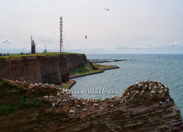 W7 Sebamed-Cup  Helgoländer Acht - 8