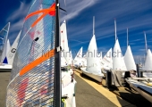 Young Europeans Sailing Kiel 2014 - Laser an der Slip 1
